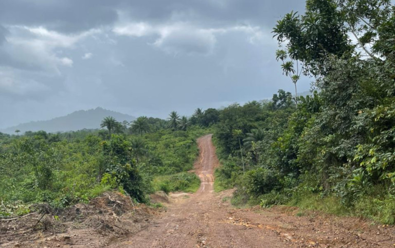 Nestfield production